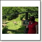 Ausflug 2007 007