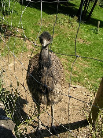 Ausflug 2007 008